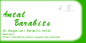 antal barabits business card